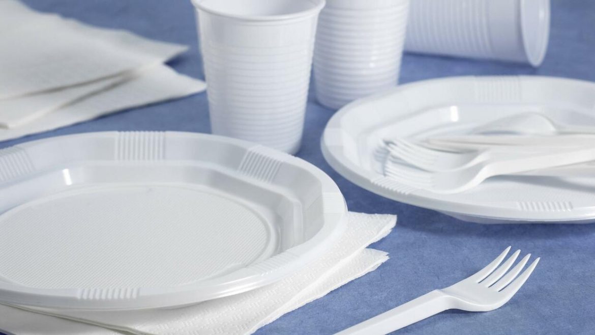 Disposable plastic dinnerware sets names