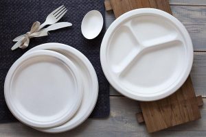 disposable plastic plates and cutlery