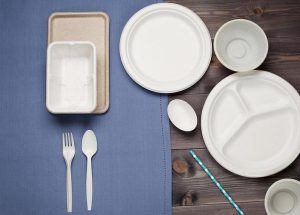 disposable plastic dinnerware