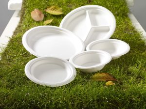 disposable plastic plates and bowls