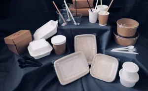 disposable plastic plates and bowls with cover lids cups