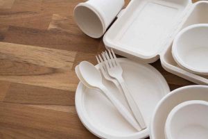 disposable plastic plates with cover