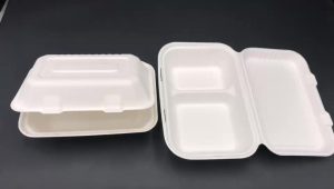 disposable plastic plates with lids