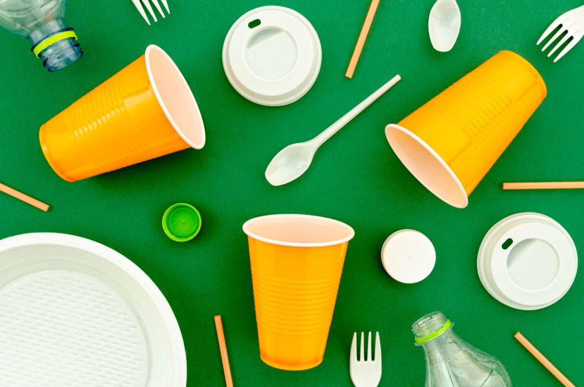 Are Disposable Plastic Plates Recyclable + Can Disposable Plastic Plates Be Recycled