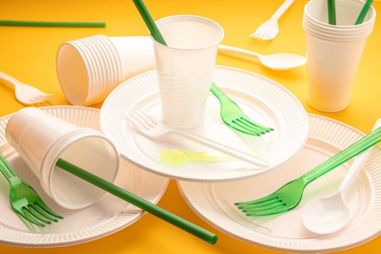 Are reusable plastic plates in bulk more economical for people