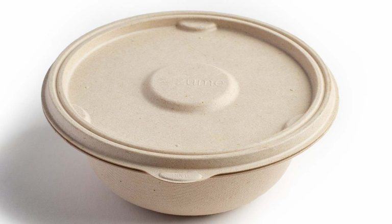 disposable bowls for soup