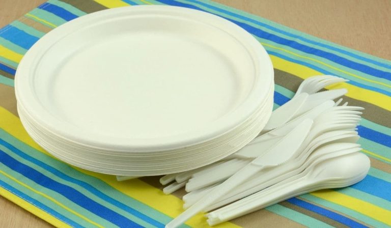 luxury disposable tableware