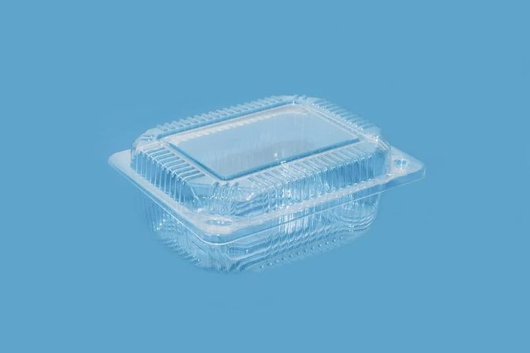 Disposable containers for food