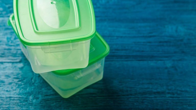 Disposable plastic containers with lids for food India