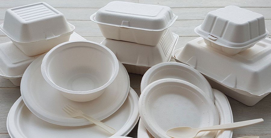 Buy plastic food containers Types + Price 